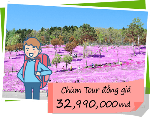 Chùm tour 32,990,000vnd
