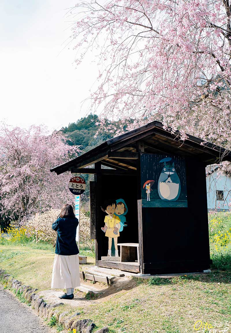 Trạm xe buýt Totoro